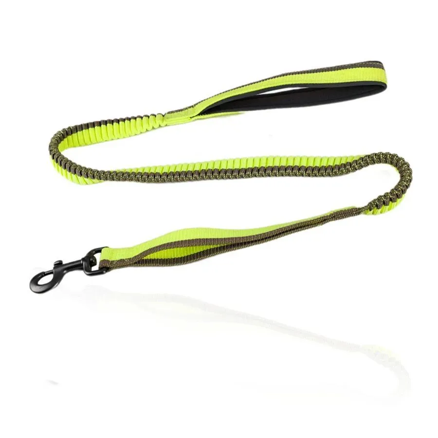 Green elastic dog training leash with metal clip for medium to large dogs