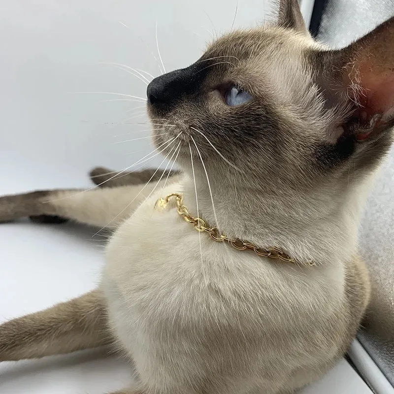 Stainless steel pet necklace with love heart pendant in gold or silver finish on curb chain