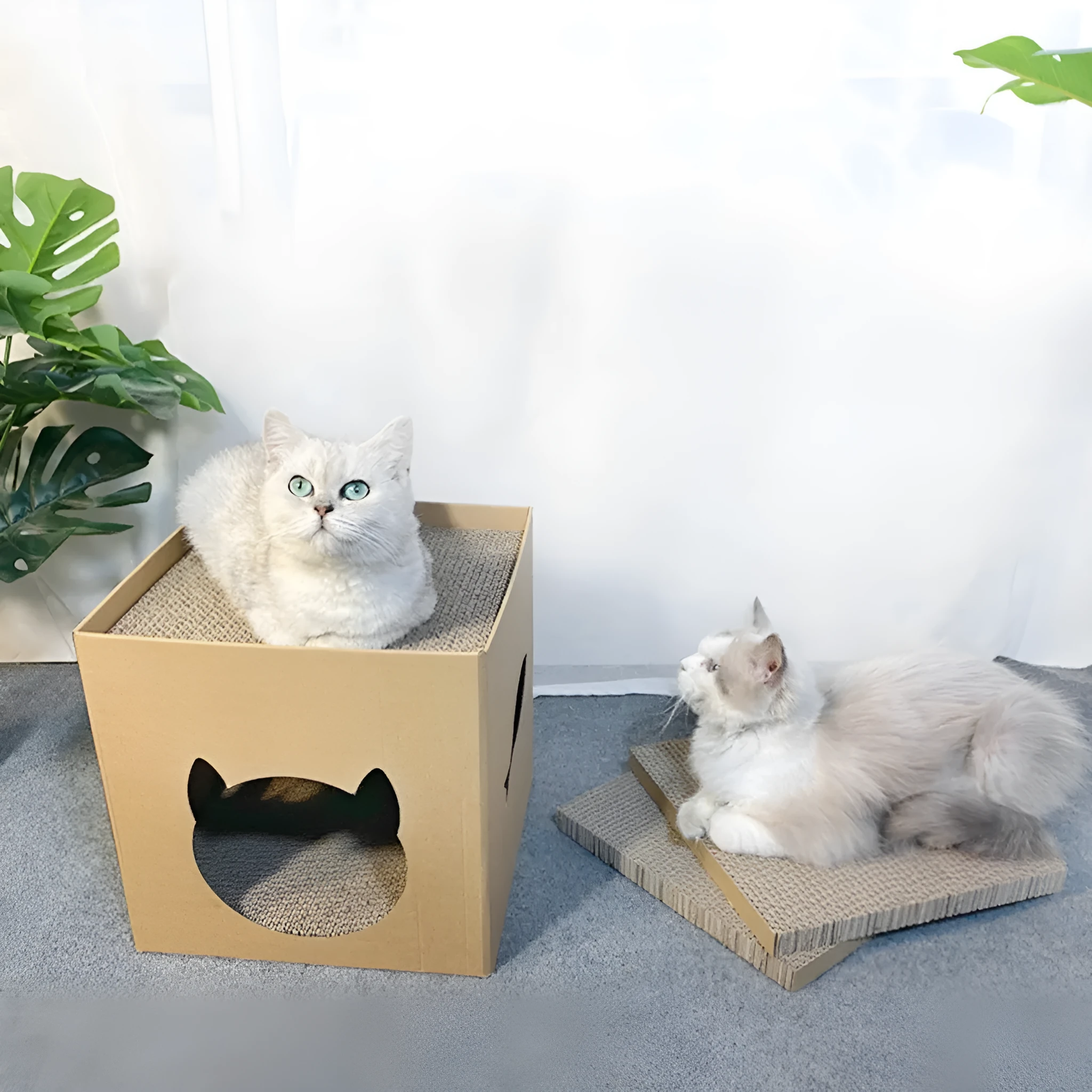Cube-shaped corrugated paper cat scratch board with pet milk carton colour design
