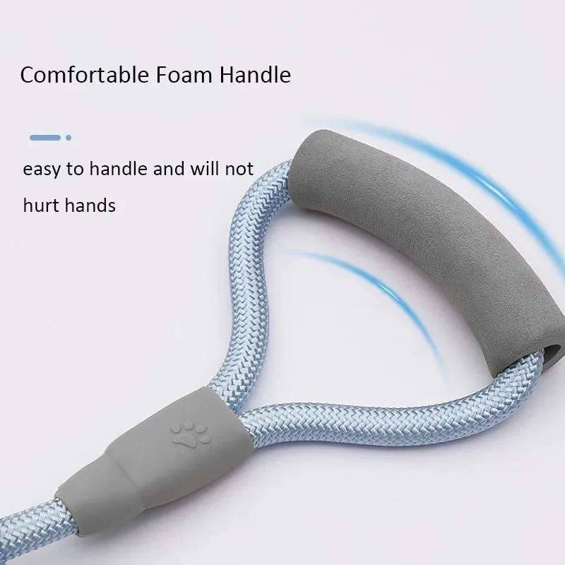 Double dog leash for two pets with foam handle and metal buckles in blue colour