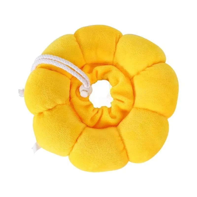 Soft cotton pet recovery Elizabethan collar with adjustable band on a cat.
