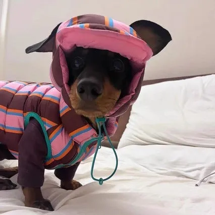 Dirty pink striped dog vest with matching hat for autumn and winter wear