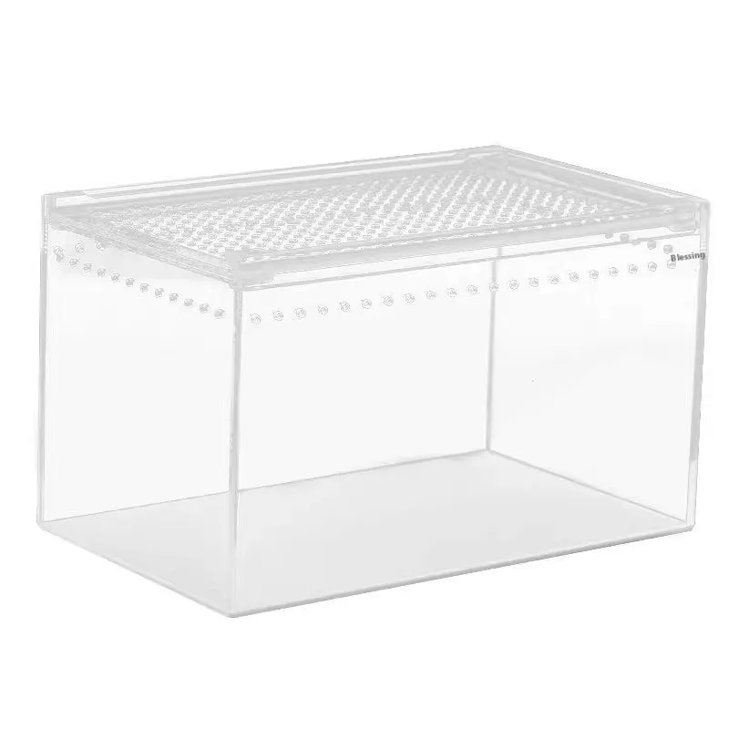 Clear acrylic reptile feeding box showing transparent sides and ventilation, next to a size chart.