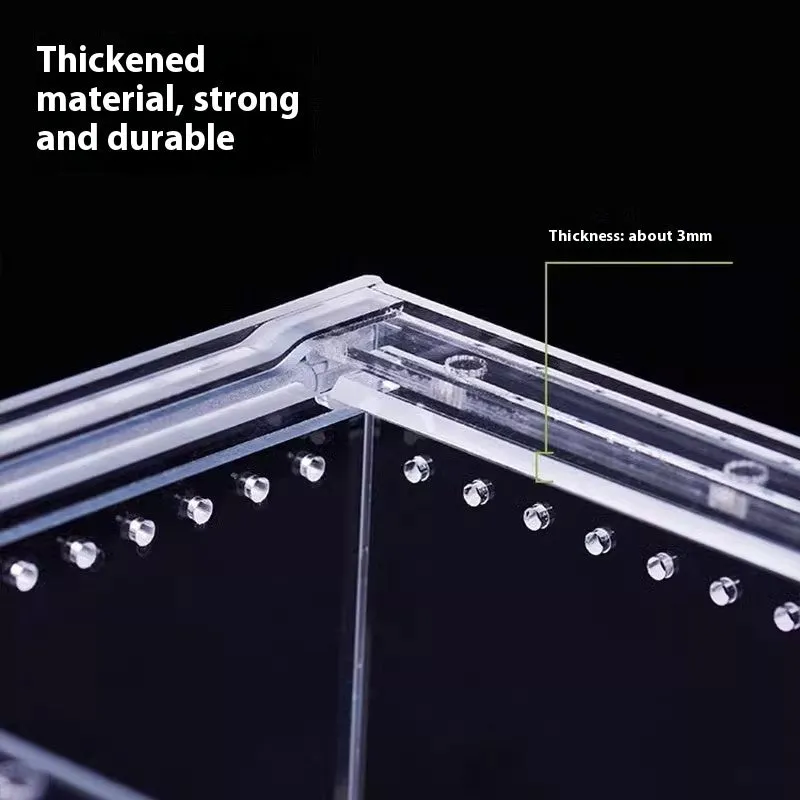 Clear acrylic reptile feeding box showing transparent sides and ventilation, next to a size chart.