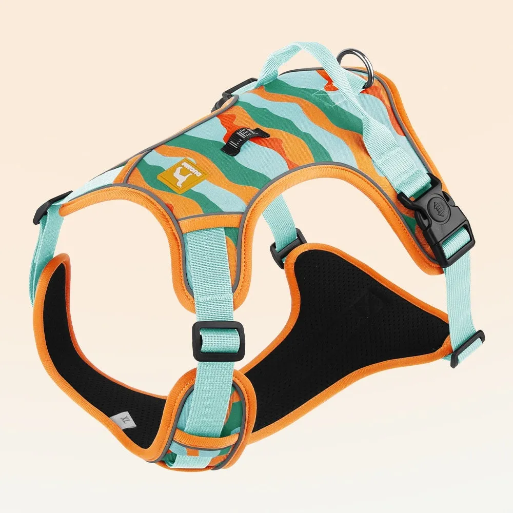 Reflective orange dog harness lead with integrated hand-holding rope on a dog's chest and back.