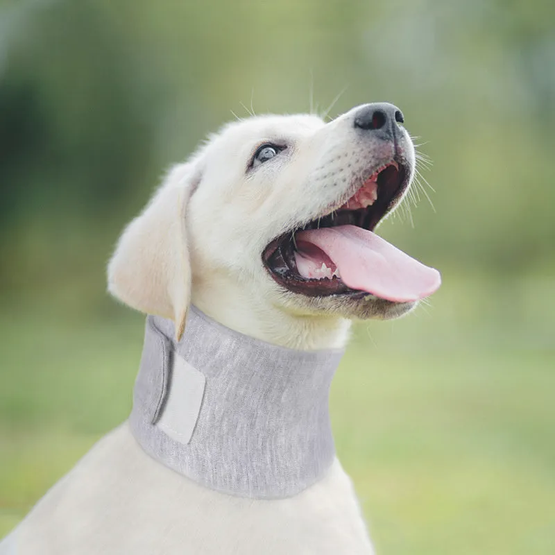 Soft cat cone recovery collar in grey and pink colours showing four size options