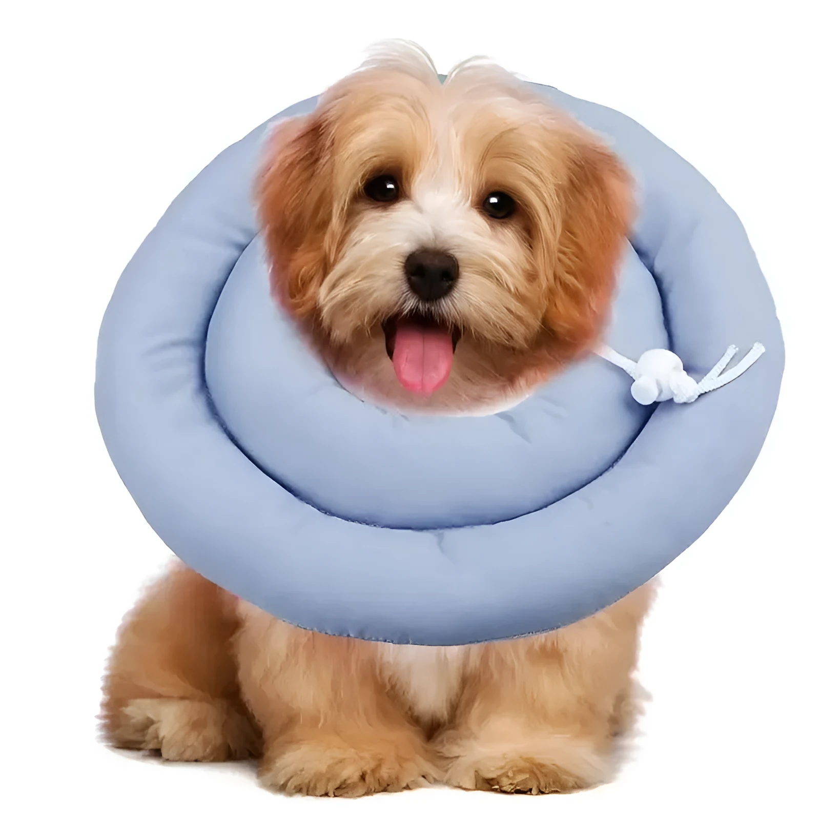 Blue adjustable Elizabethan recovery collar for a dog, showing the spring buckle and padded interior.