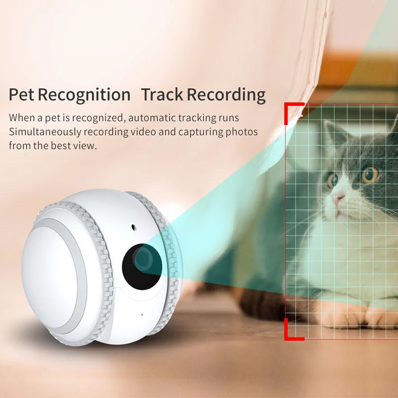 White cat robotic pet toy with automatic recharge function and USB charging cable