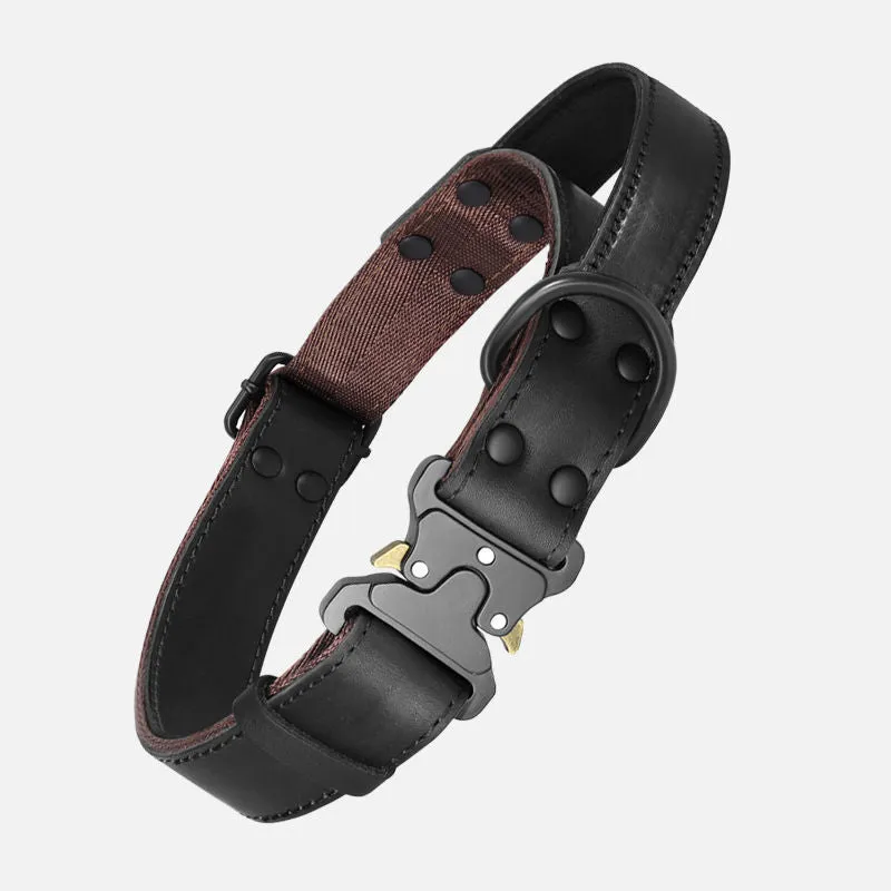 Black leather dog collar with explosion-proof lead for large breed dogs