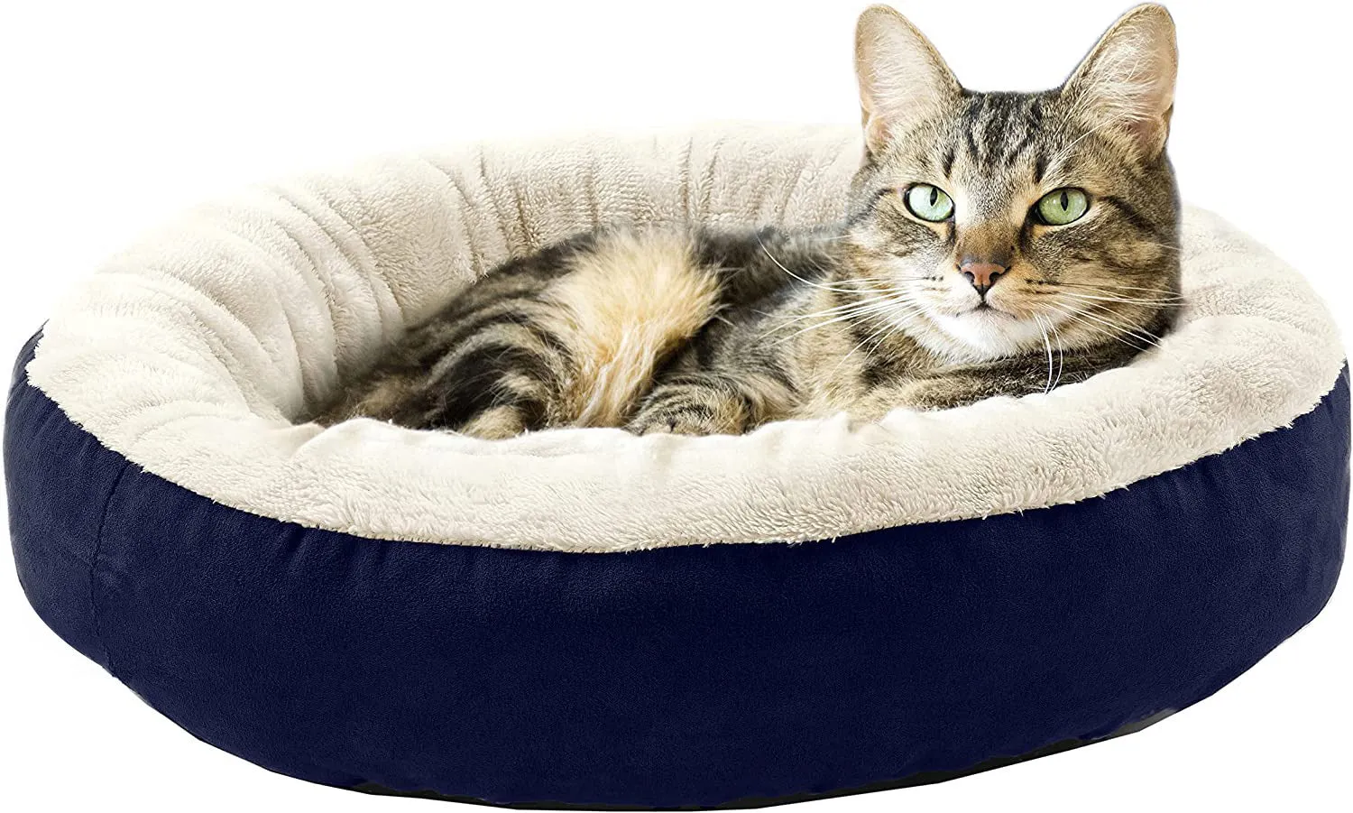 Circular soft cloth pet bed nest in blue colour showing raised edges and nesting area