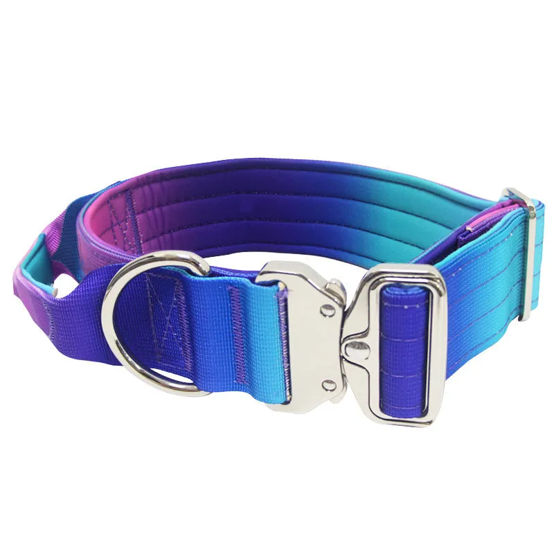 Widened gradient colour dog collar and matching leash set in blue and purple combination