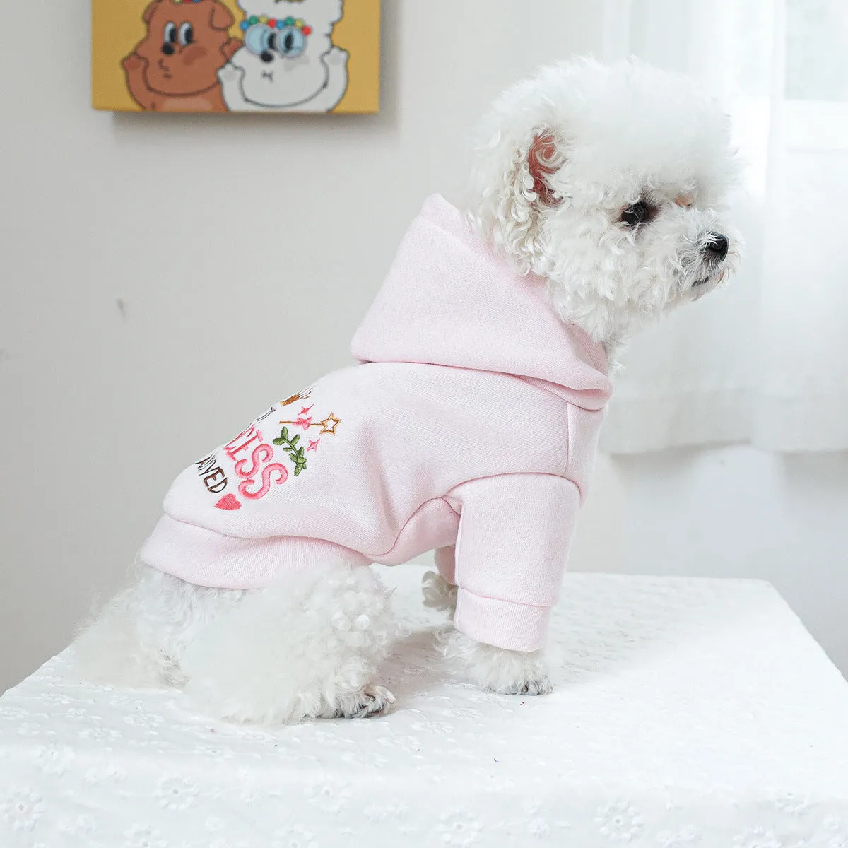 Little Princess design hooded pet sweater for dogs and cats in polyester fabric