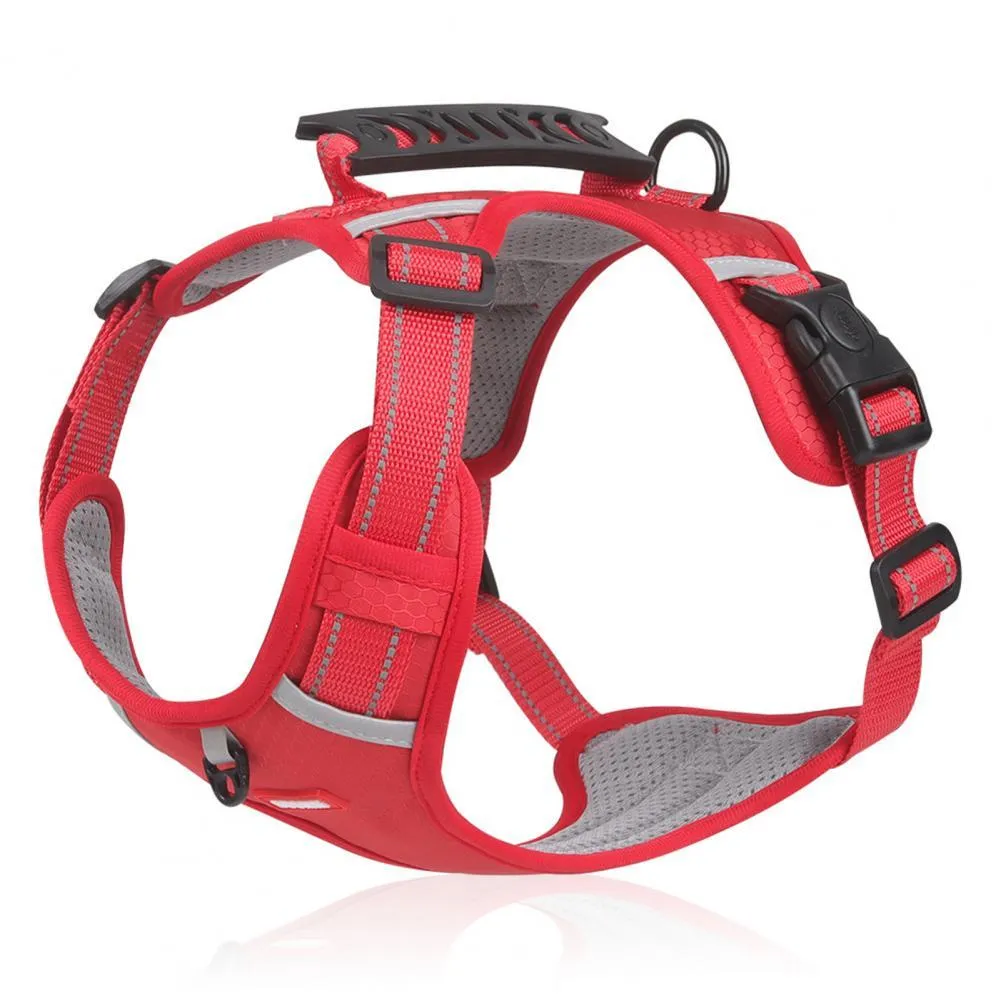 Orange adjustable nylon dog harness with reflective strips and mesh panels shown on dog