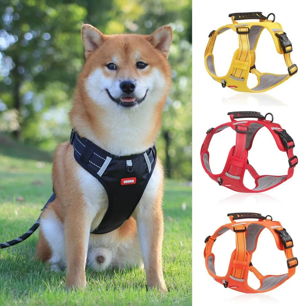Orange adjustable nylon dog harness with reflective strips and mesh panels shown on dog
