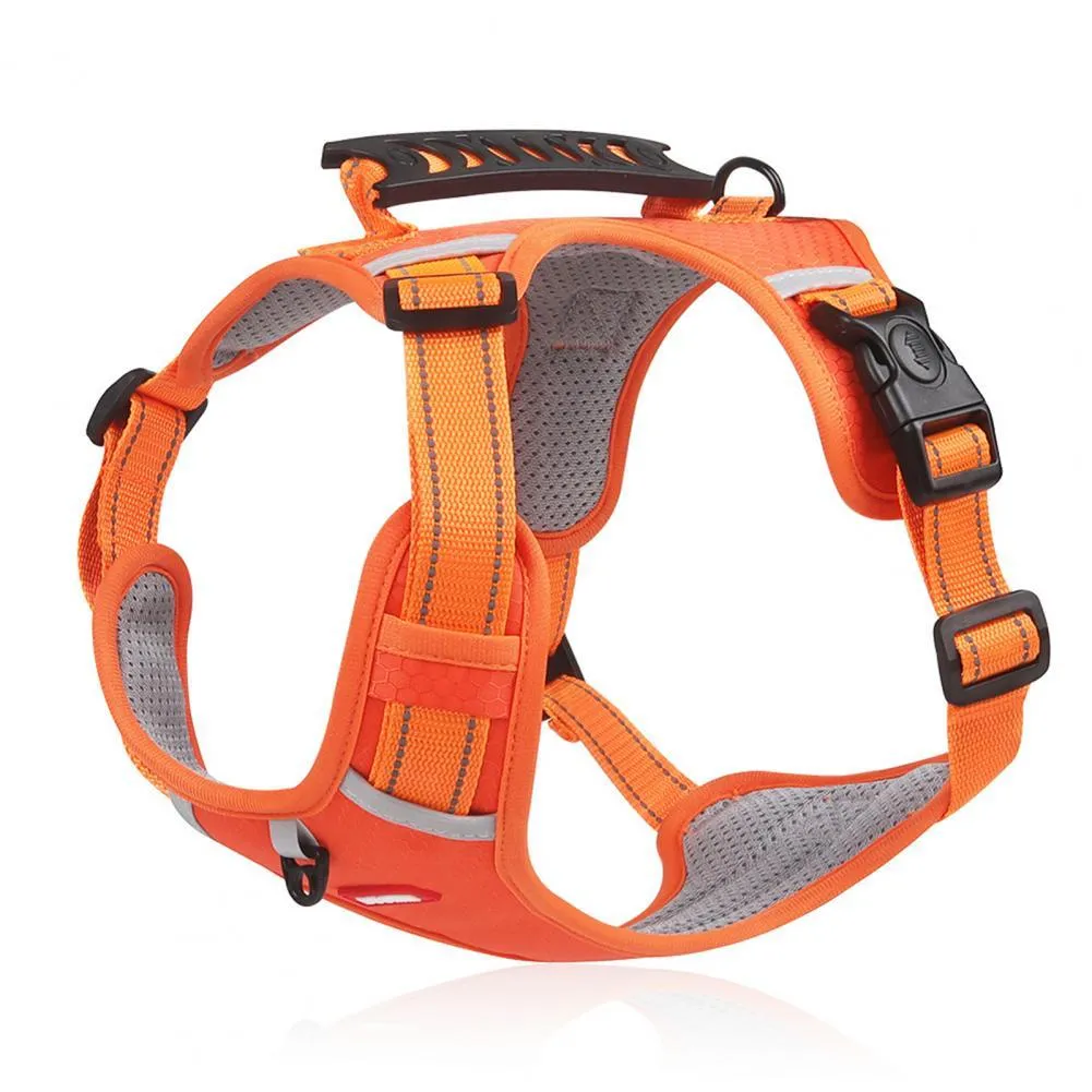 Orange adjustable nylon dog harness with reflective strips and mesh panels shown on dog