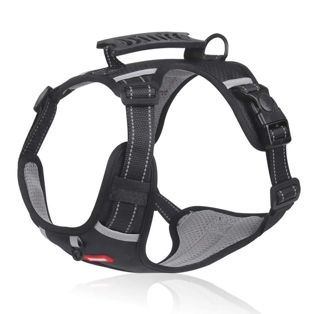 Orange adjustable nylon dog harness with reflective strips and mesh panels shown on dog