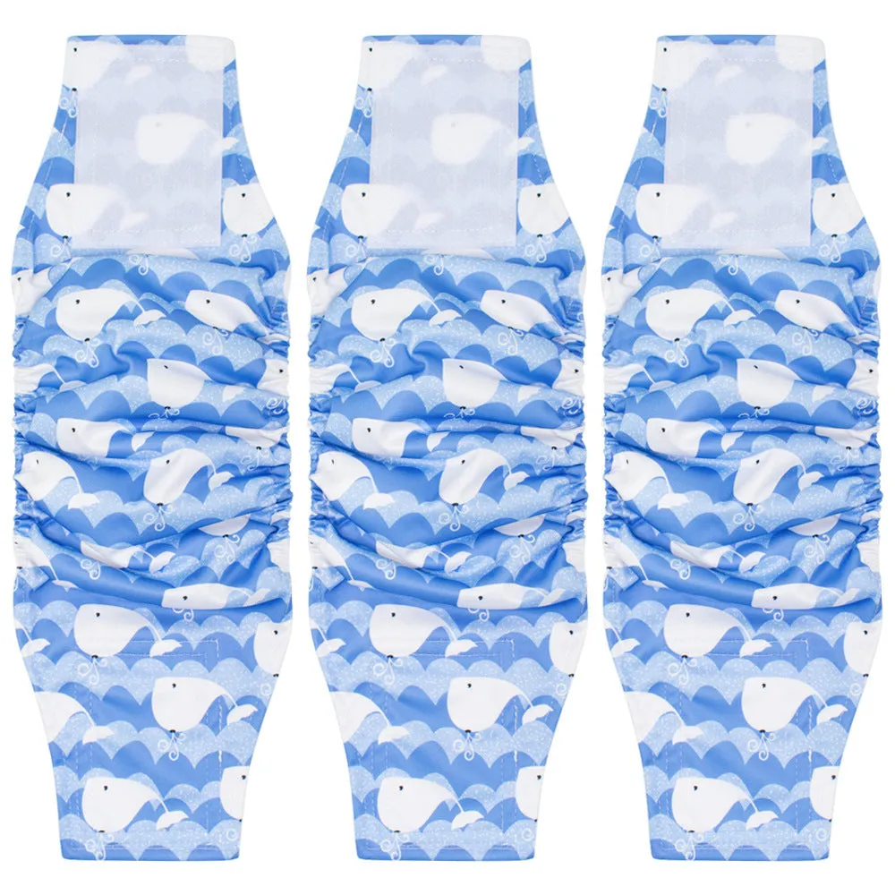 Male dog diaper in polyester British style, available in multiple colours and sizes S to XL, for sterilisation recovery and incontinence