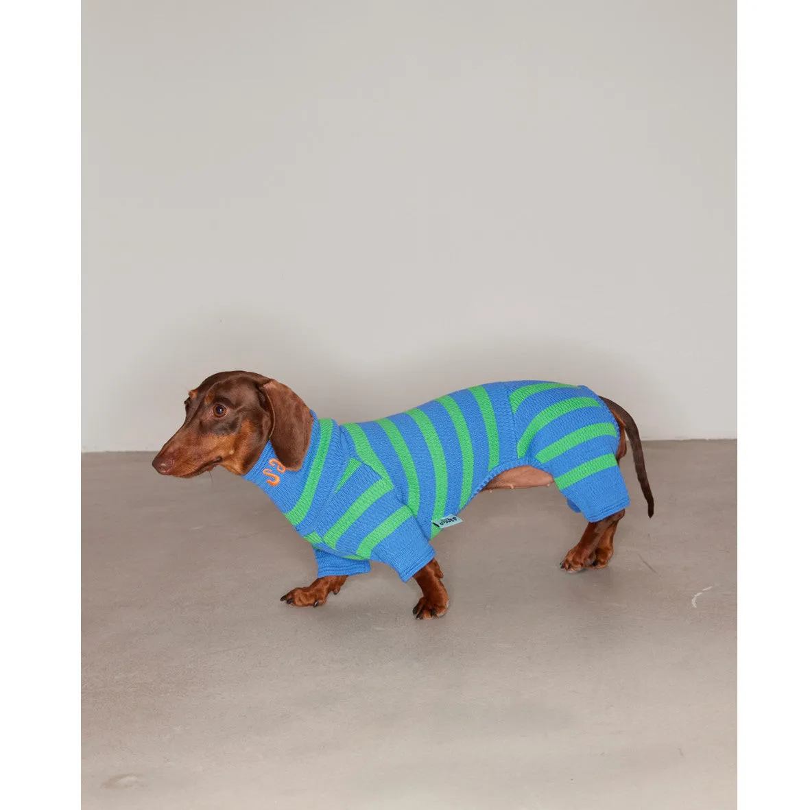 Knitted contrast colour stretch wool dog clothing in Cute Blue, four-legged design, sizes 1-4 Yards