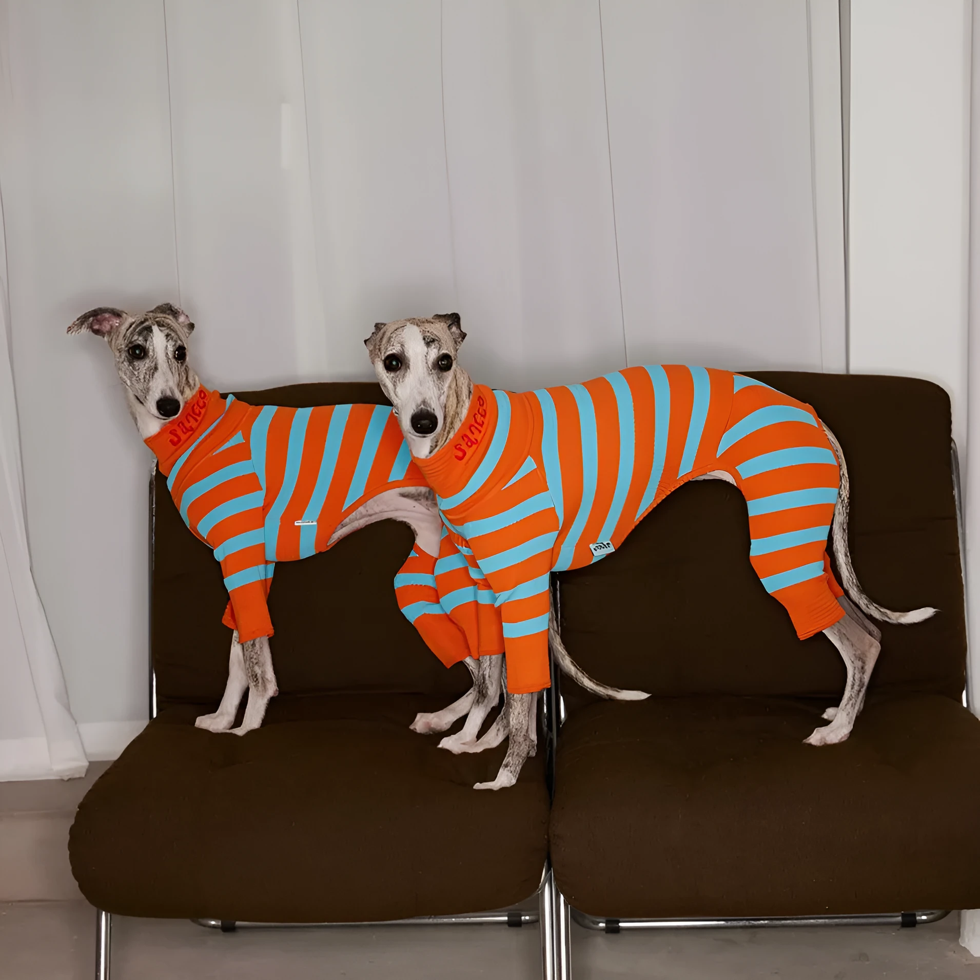 Knitted contrast colour stretch wool dog clothing in Cute Blue, four-legged design, sizes 1-4 Yards