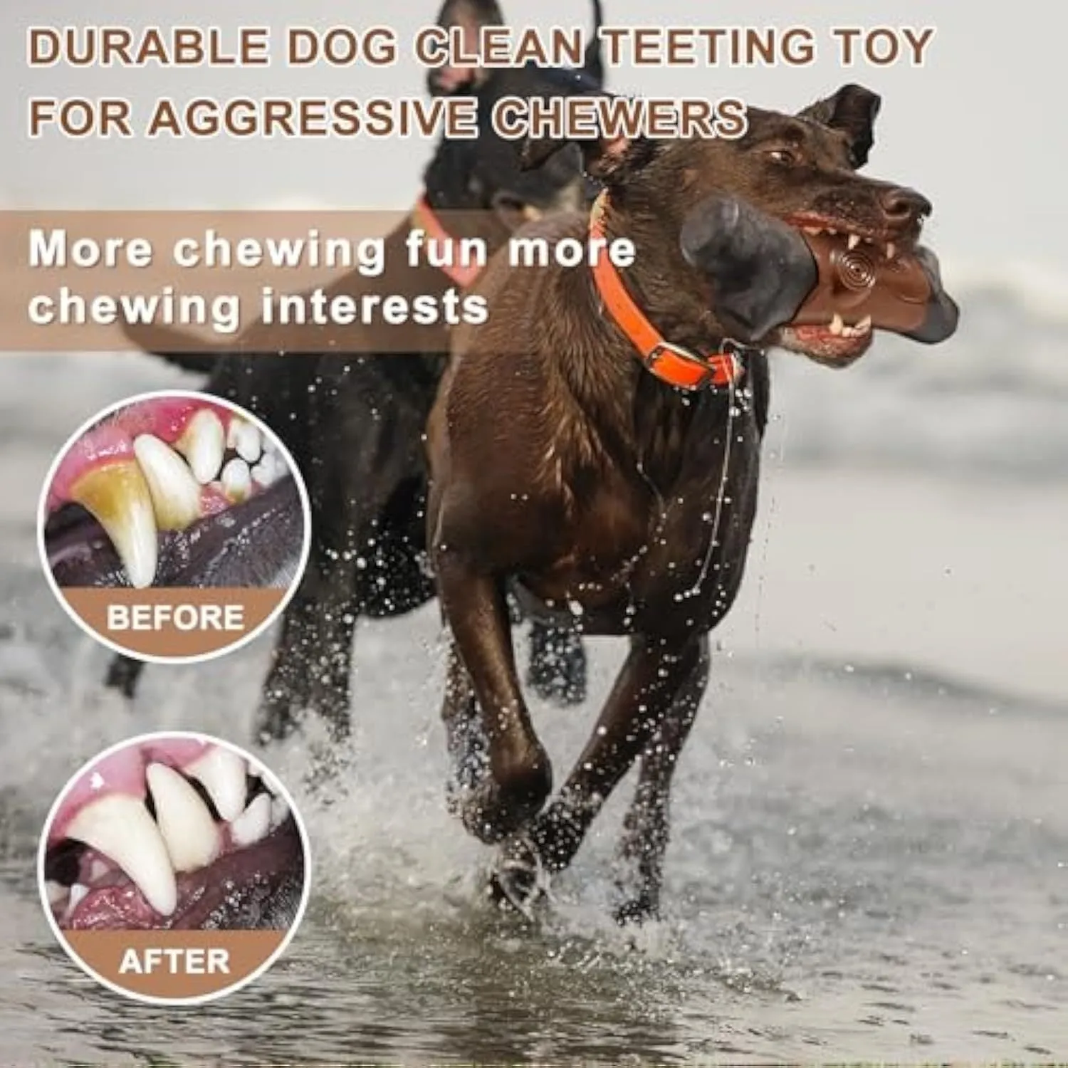 Branch-shaped nylon dog chew toy with bacon flavour and squeaker for large breed aggressive chewers