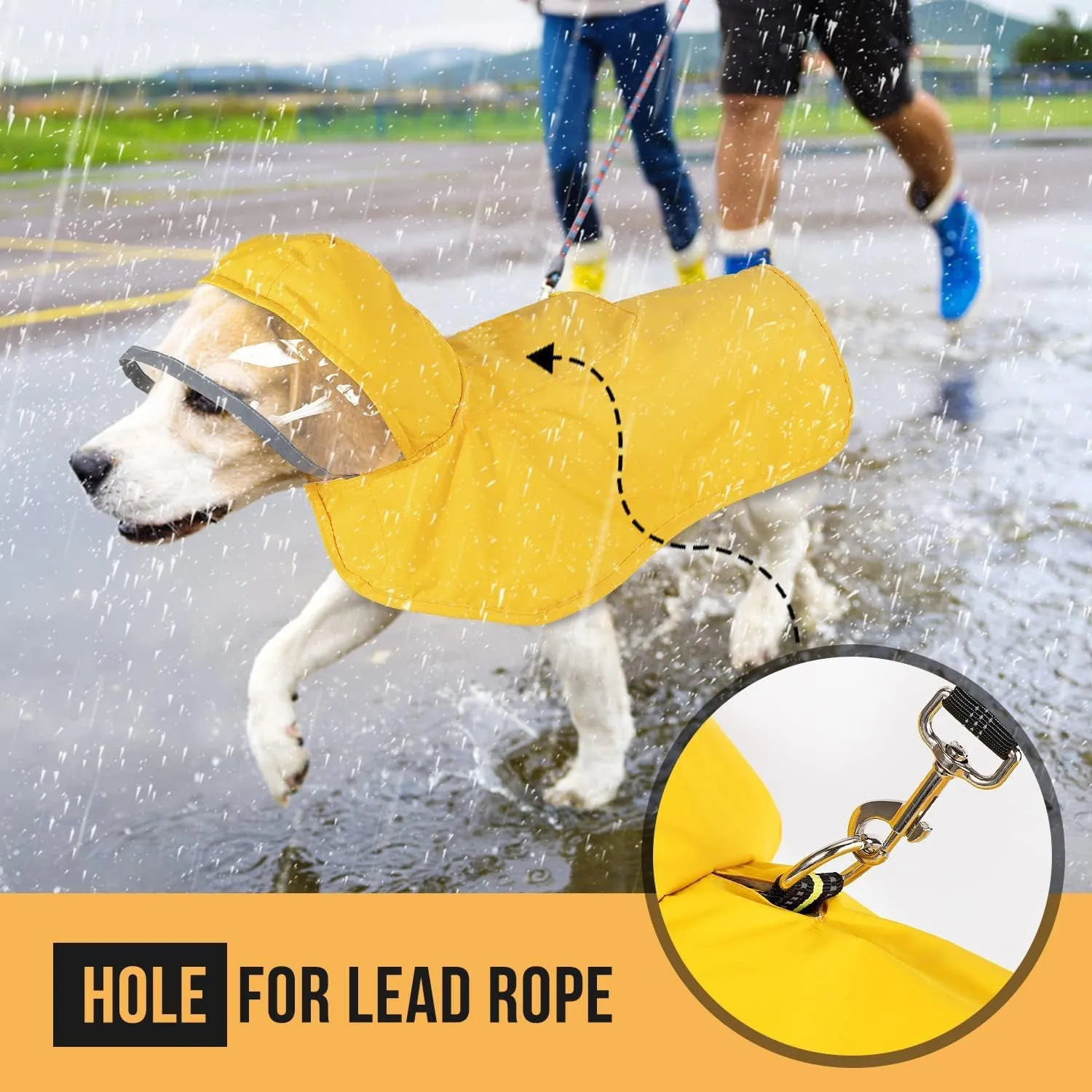 Dog raincoat in orange with transparent hood, waterproof breathable fabric, belly coverage, on a small dog