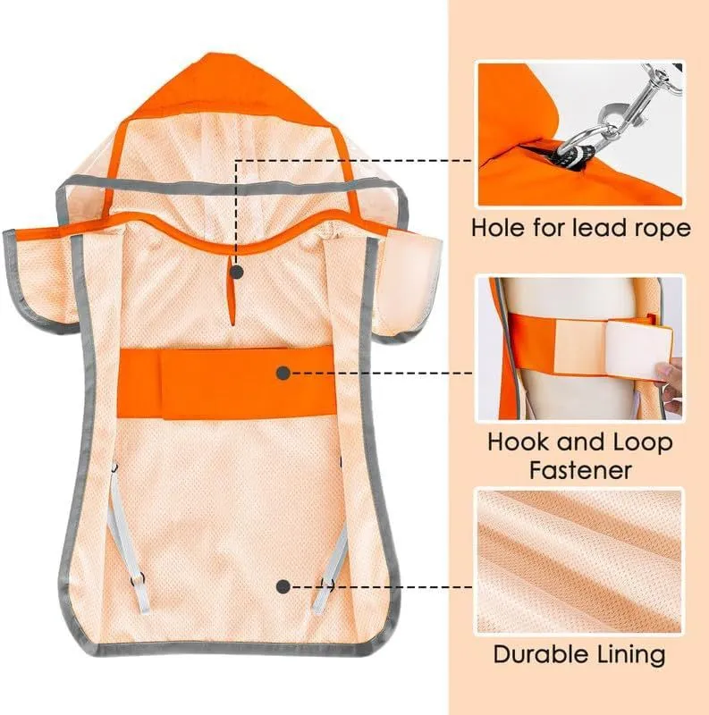 Dog raincoat in orange with transparent hood, waterproof breathable fabric, belly coverage, on a small dog