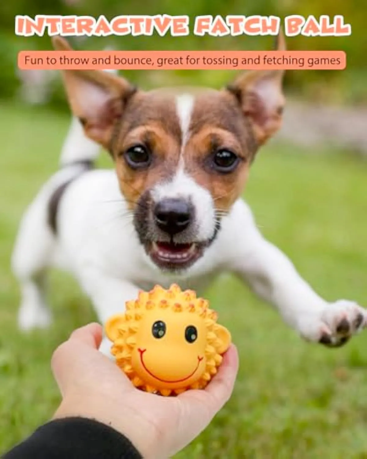 Set of four orange and yellow spiky latex animal dog toys with squeakers.