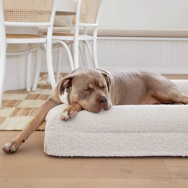 Rectangular pet sofa bed with thickened mattress and cloth cover, available in multiple sizes and colours for dogs