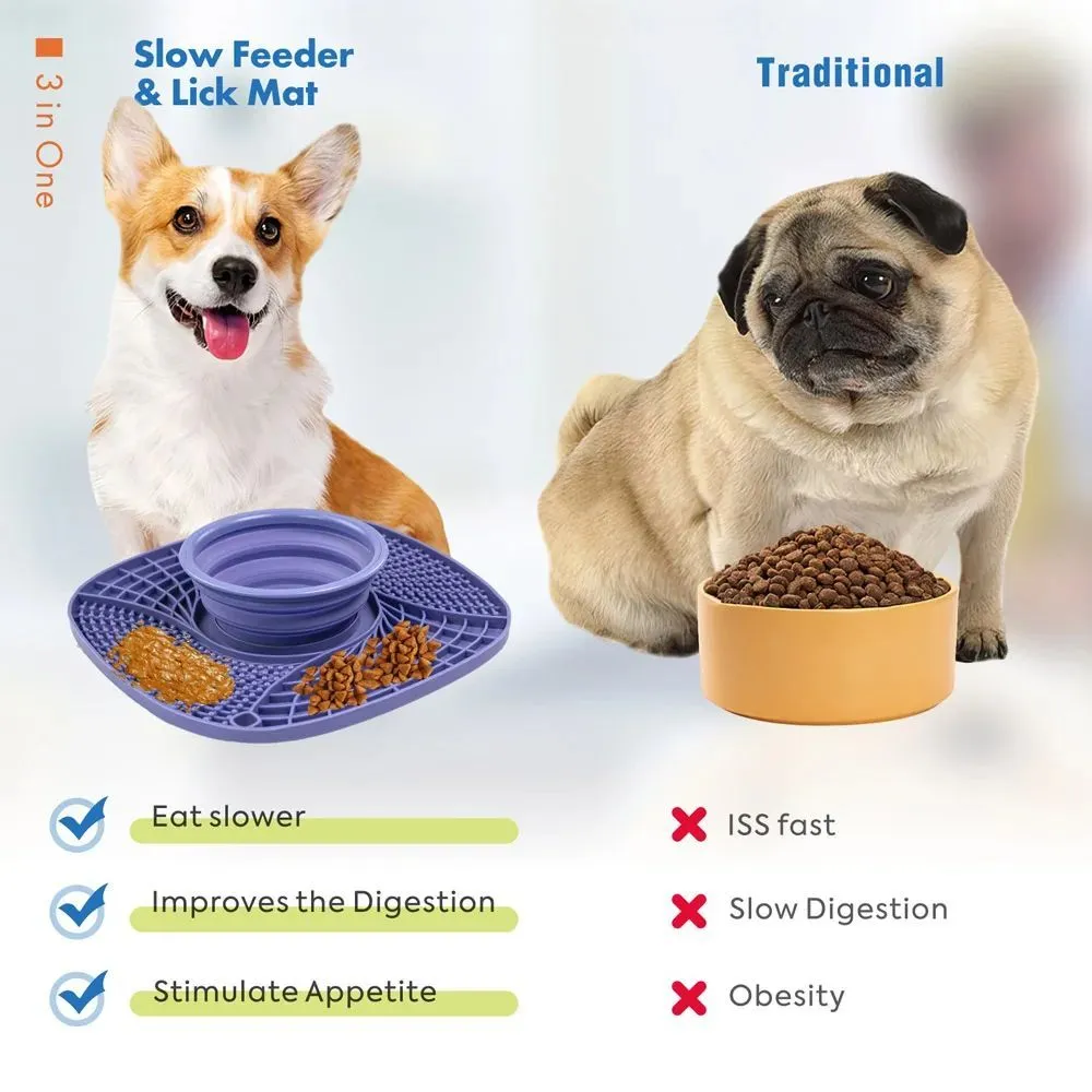 Pet dog slow feeder bowl non slip puzzle anti-gulping feeding dish for small medium dogs