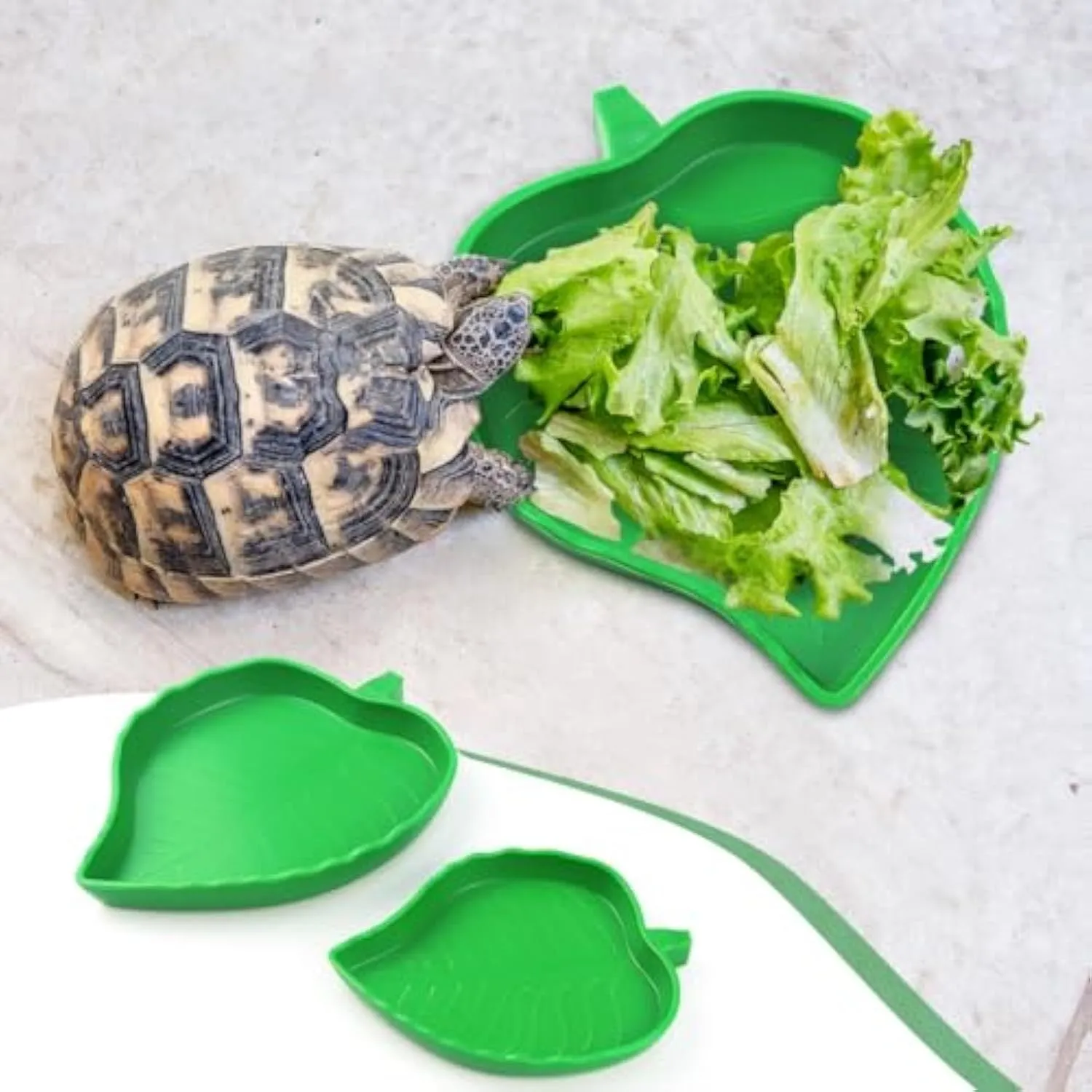 2 pcs leaf-shaped reptile food and water bowls in large and small sizes, made from plastic