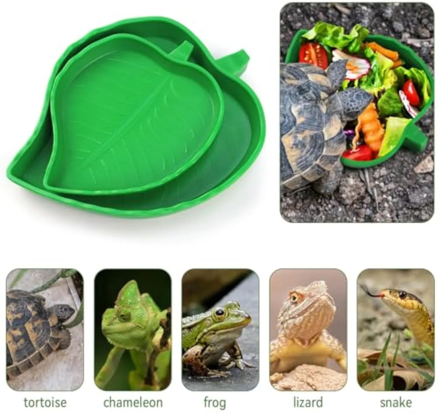 2 pcs leaf-shaped reptile food and water bowls in large and small sizes, made from plastic