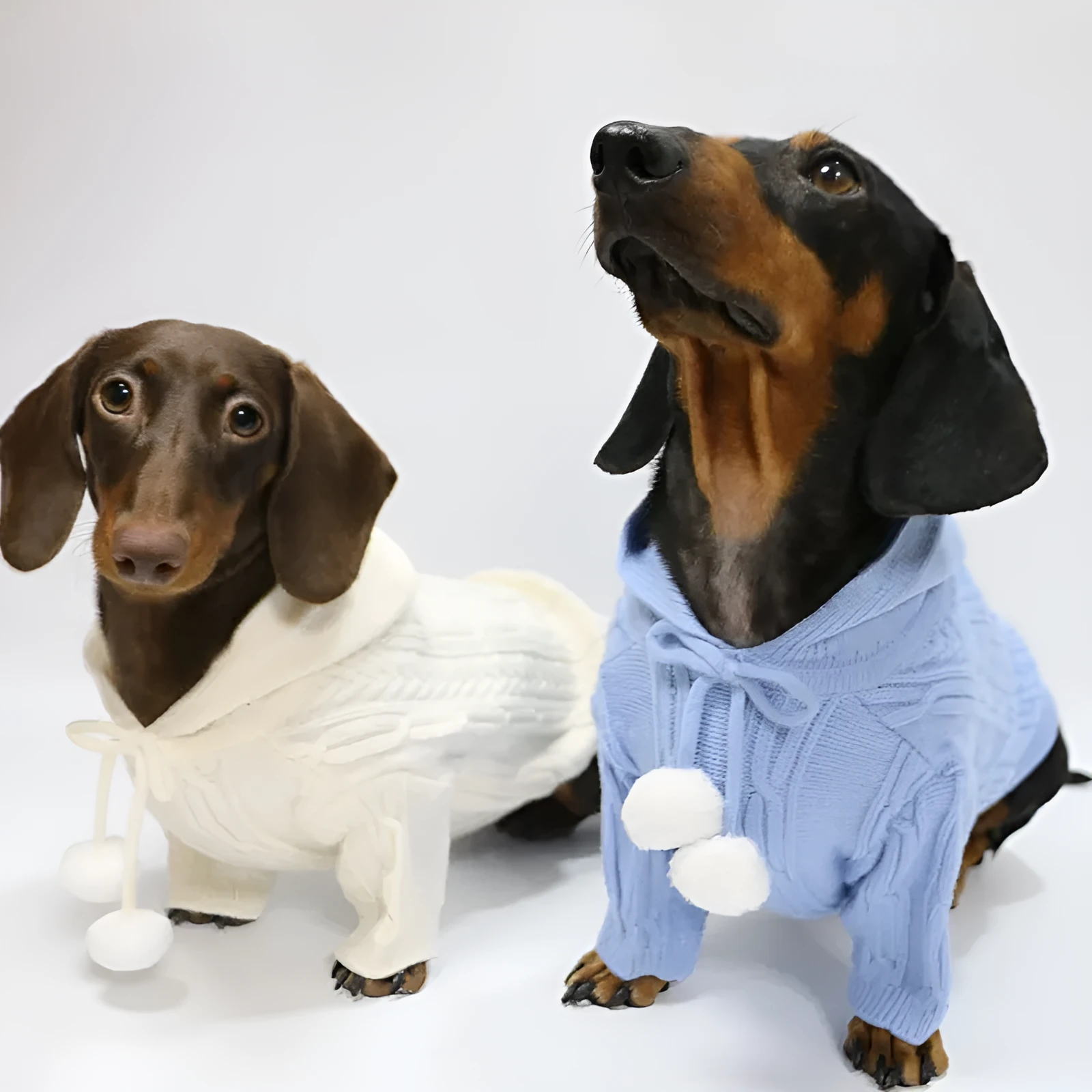 Autumn winter two-leg hooded sweater for dogs in beige colour showing hood and blended fabric