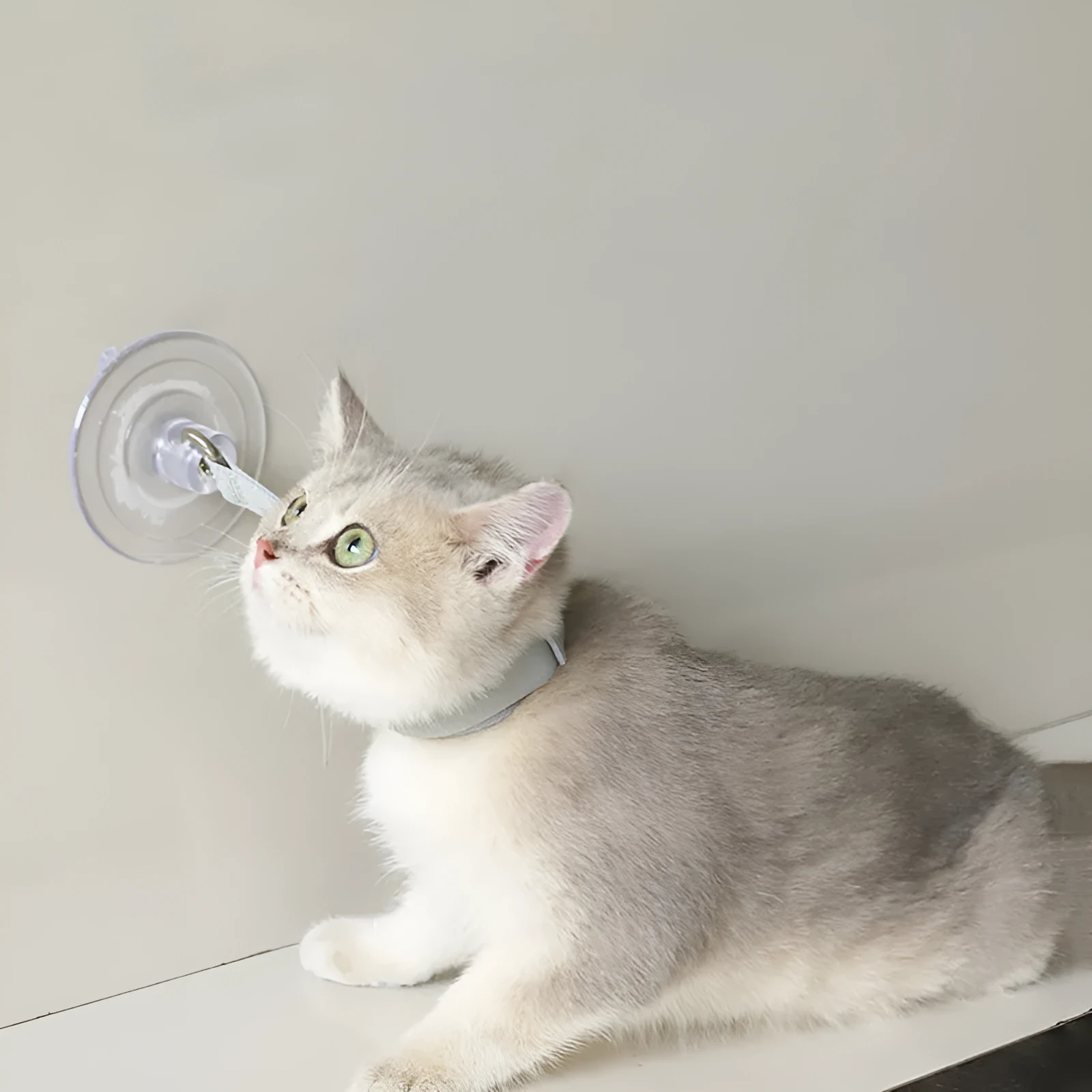 Adjustable fabric pet bathing restraint collar with suction cup in black, grey, and pink