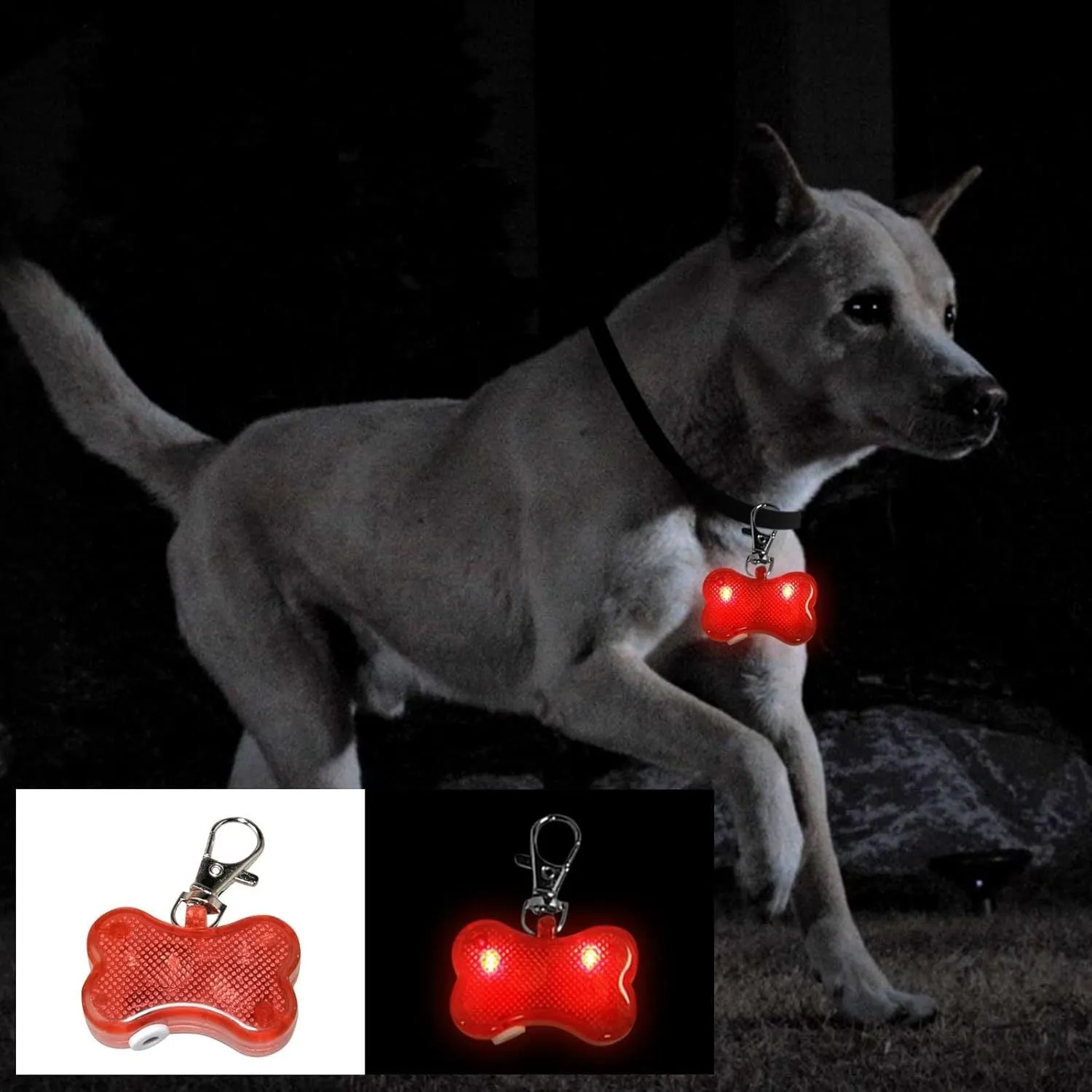 Blue LED luminous bone-shaped pendant for pet collars showing scale next to LR44 batteries.