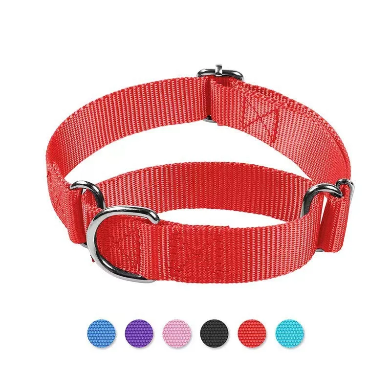 Adjustable nylon explosion-proof pet collar in blue with hand-holding rope for cats and dogs