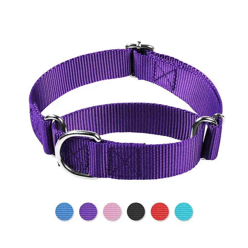 Adjustable nylon explosion-proof pet collar in blue with hand-holding rope for cats and dogs