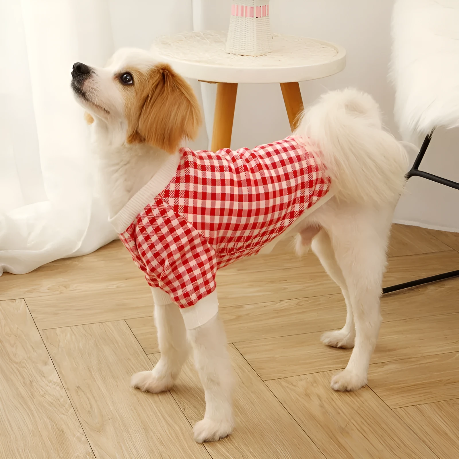 High collar windproof fashion sweater dog clothes in wool, available in six colours and five sizes