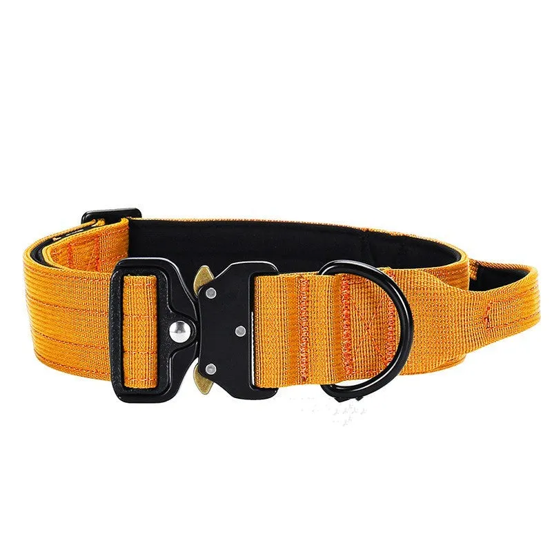 Nylon explosion-proof handle dog collar in black, 1.5-inch width, size M for neck 38-46cm