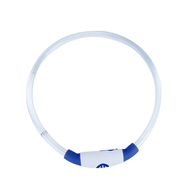 Blue USB-rechargeable LED dog collar glowing on a dog's neck at night.