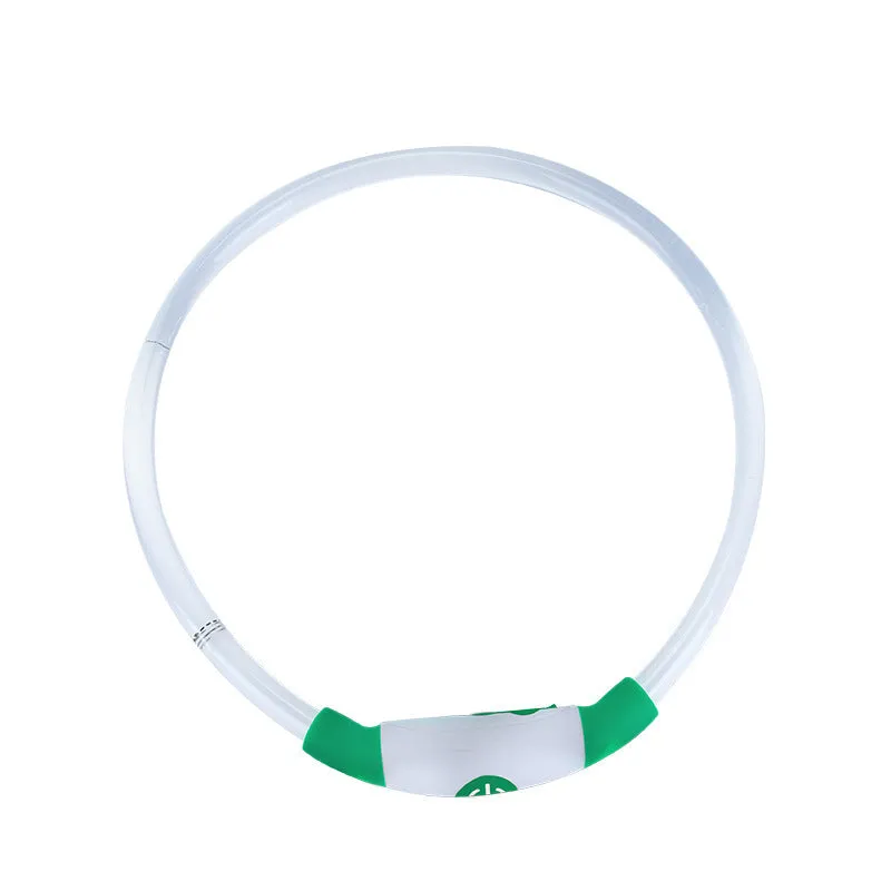 Blue USB-rechargeable LED dog collar glowing on a dog's neck at night.