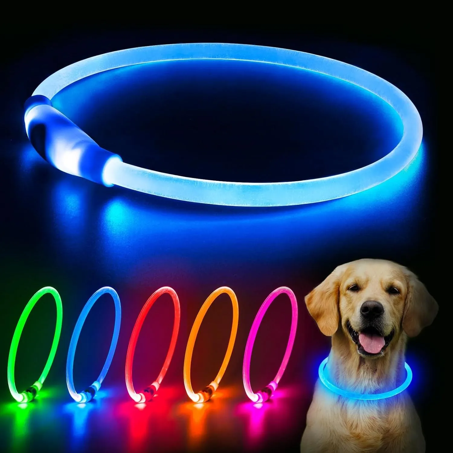 Blue USB-rechargeable LED dog collar glowing on a dog's neck at night.