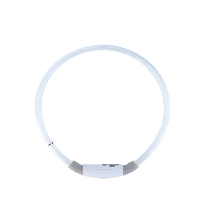 Blue USB-rechargeable LED dog collar glowing on a dog's neck at night.