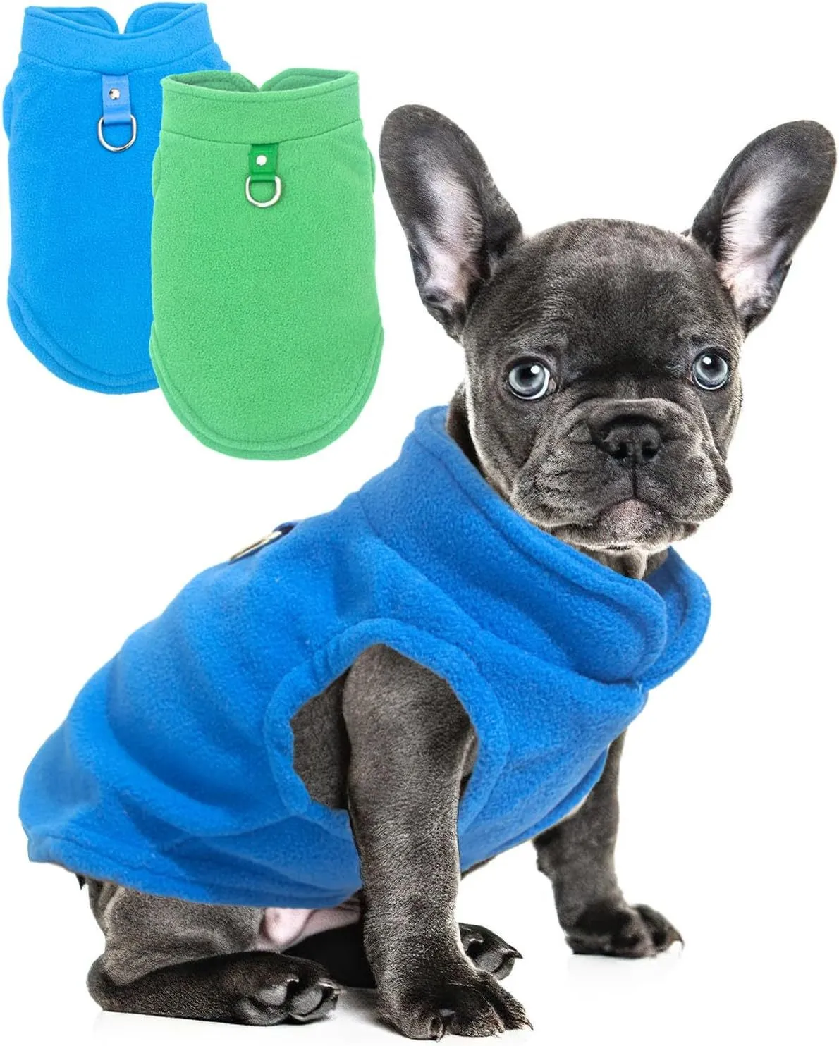Two small dogs wearing fleece sweaters with built-in D-ring for leash, one in blue green and one in purple pink