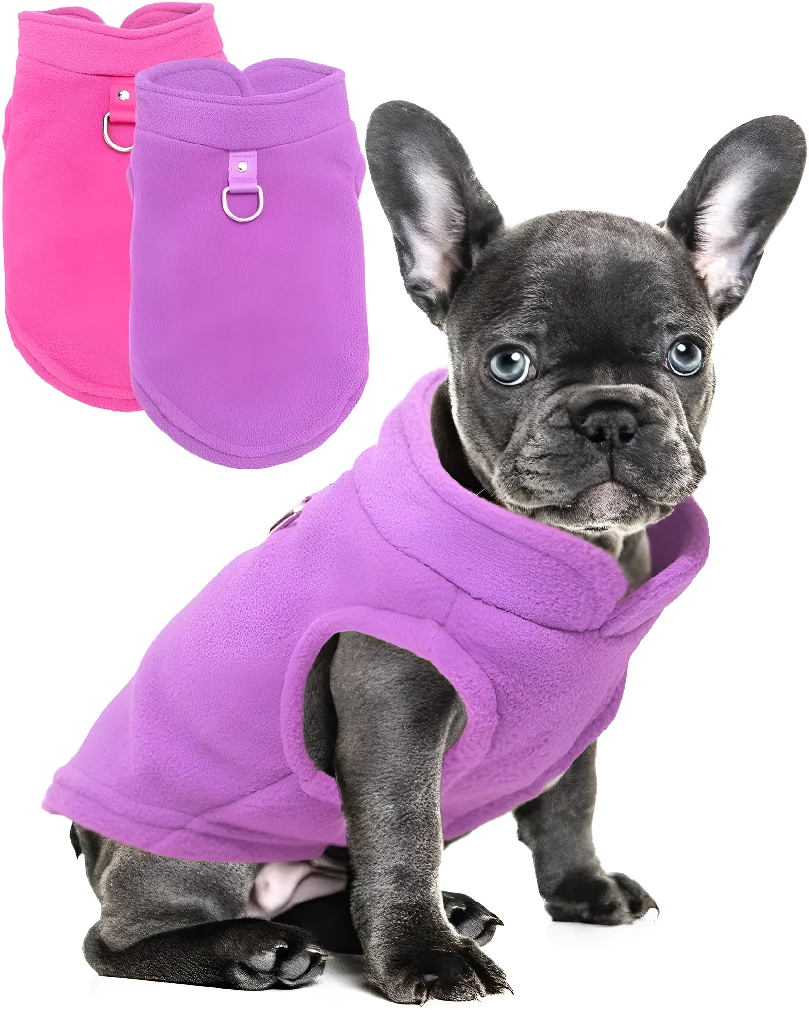Two small dogs wearing fleece sweaters with built-in D-ring for leash, one in blue green and one in purple pink