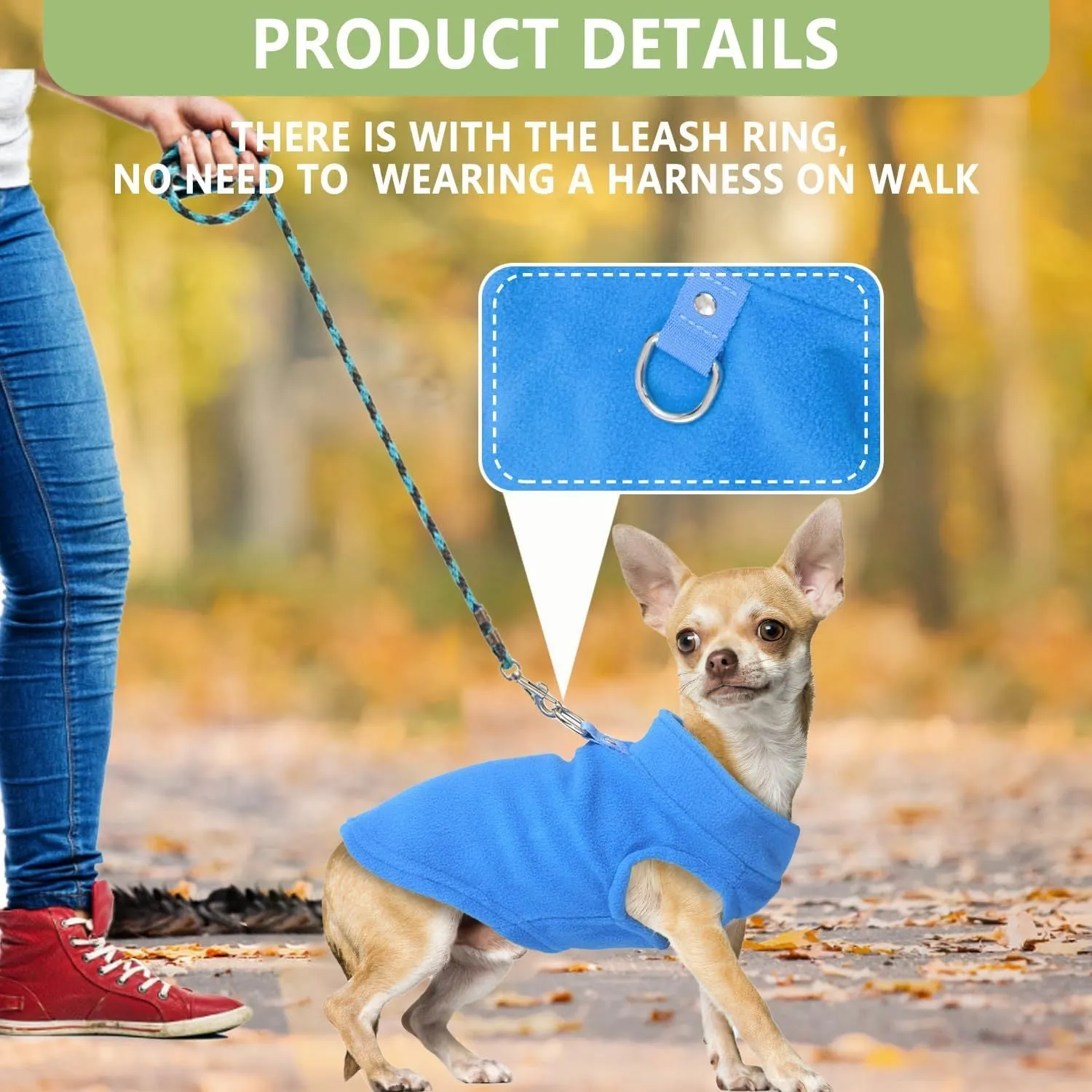 Two small dogs wearing fleece sweaters with built-in D-ring for leash, one in blue green and one in purple pink