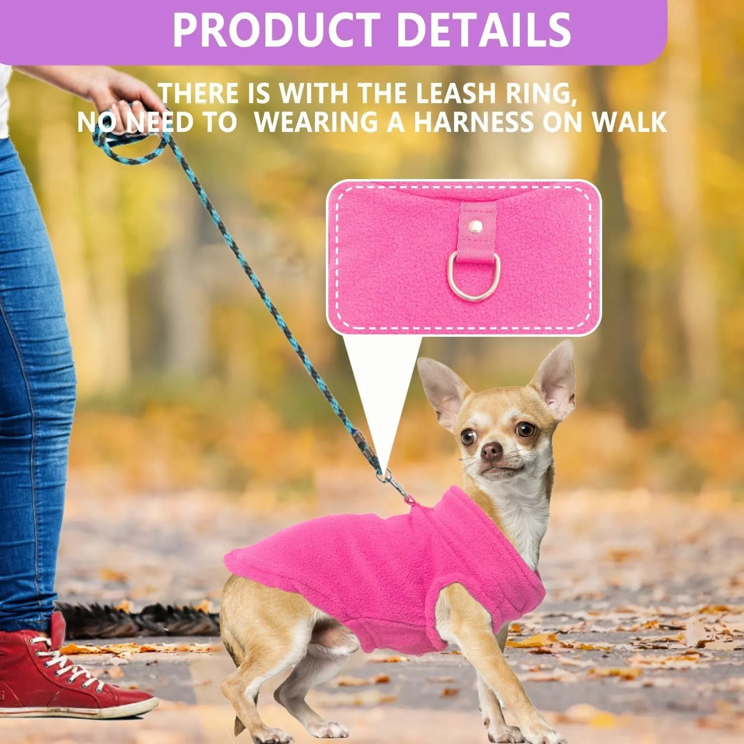 Two small dogs wearing fleece sweaters with built-in D-ring for leash, one in blue green and one in purple pink