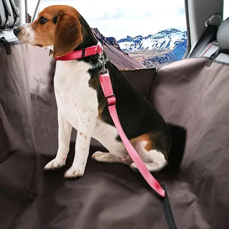 Black dog car seat belt with metal clip and adjustable polyester webbing on car seat