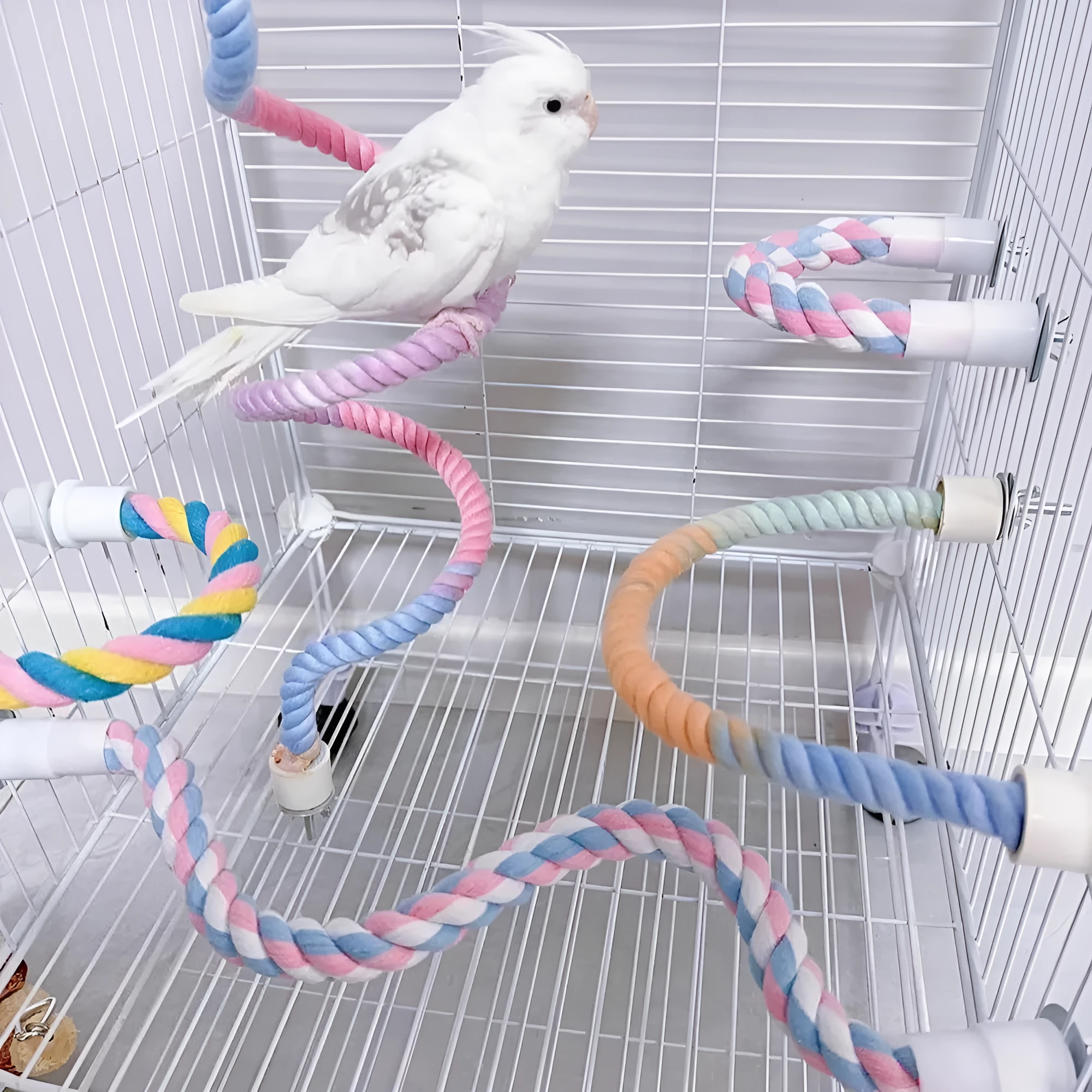 Gradient colour bird rope perch with U-shape and circular swing on a cage