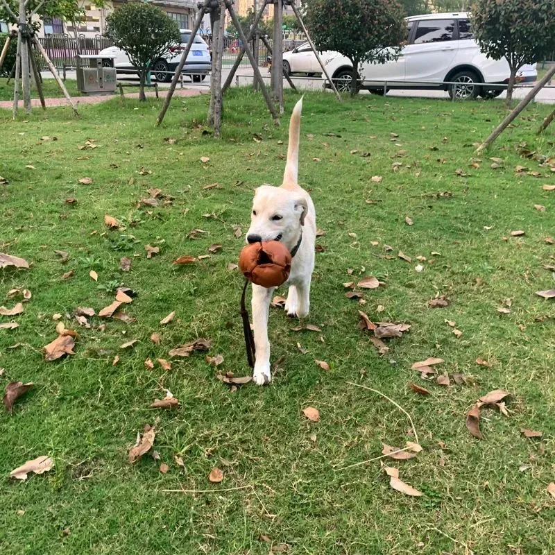 Leather dog training ball toy with handle, soft bite ball for puppy reward, tug toy for obedience training, colourful dog ball