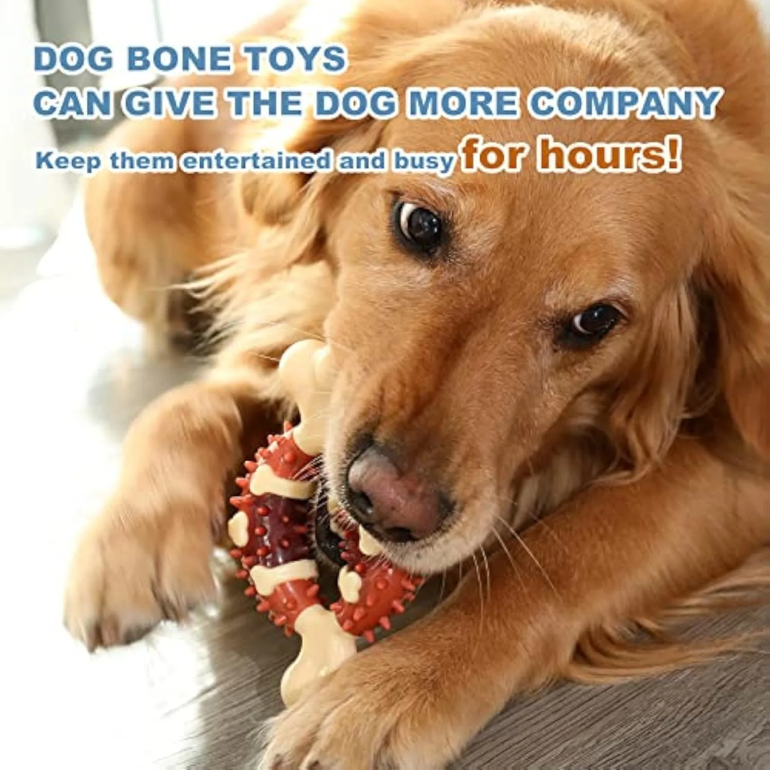 Bone-shaped natural rubber pet molar chew toy shown in two sizes
